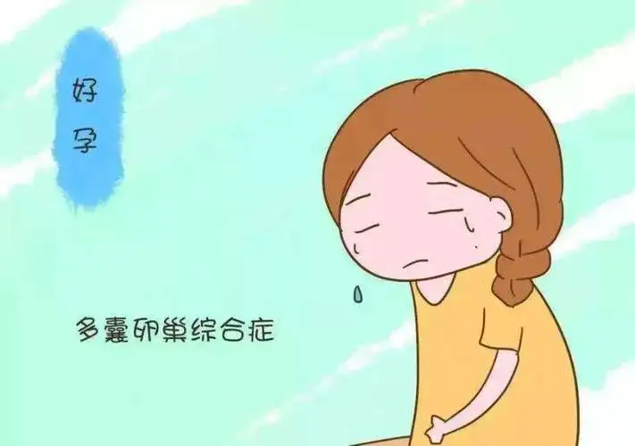月经一来就喝助孕中药怀孕的吗