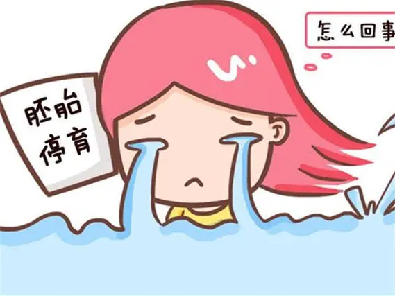 怎样能人工助孕