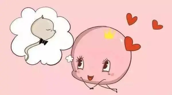 四种怀孕准备助你好孕气