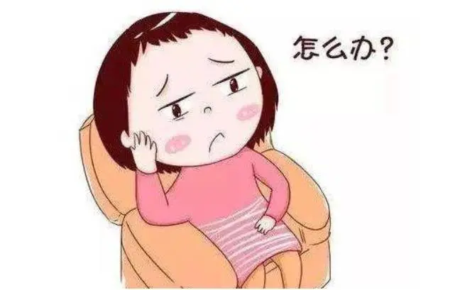 �Ϻ���������������������