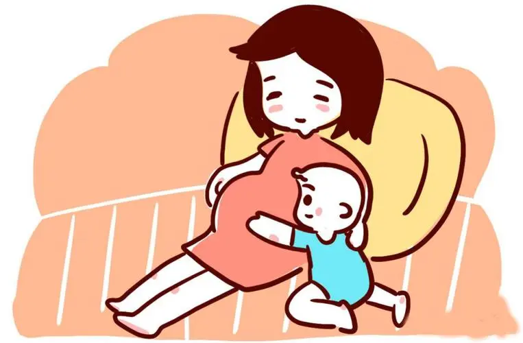 藕粉能助孕吗