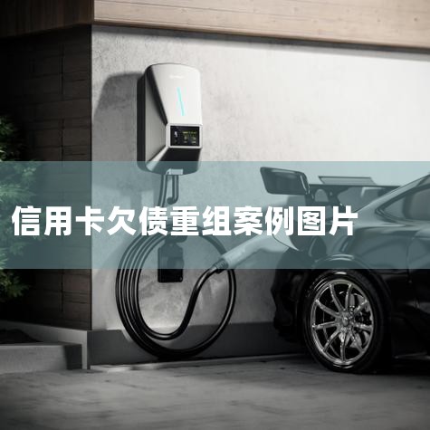 ���ز�ʹ���ѵ³�APP��ͨ��APPʵʱ��س��״̬���鿴����¼�����������硣��ע�ѵ³���Żݻ�����ڲ����ѵ³��Ƴ��ĸ����Żݻ�����ܳ���ۿۡ��˽��簲ȫ֪ʶ����ʹ��...