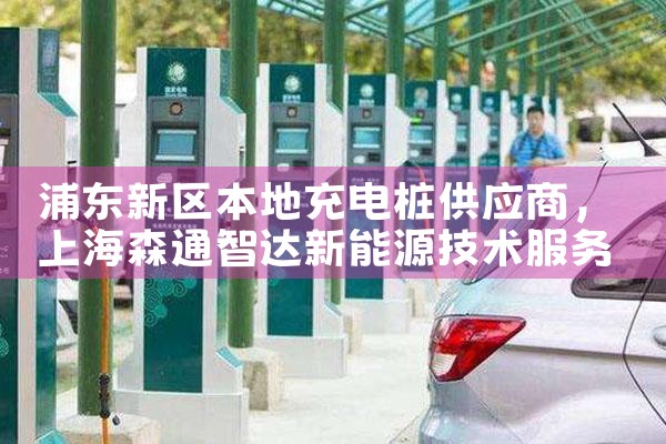 南方电网充电桩中标厂家
