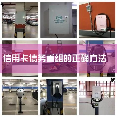 ��˹��������������˹���������վ���г���⣬Ҳ����ѡ�ڼ��ﰲװ���׮���г�硣�Ͼ���ͥ���������Ҫ�ĳ�緽ʽ��������˹���ٷ���˵����ÿһ����˹�����泵����һ�����ó��׮�������ڼ�����ʱΪ��˹����硣��