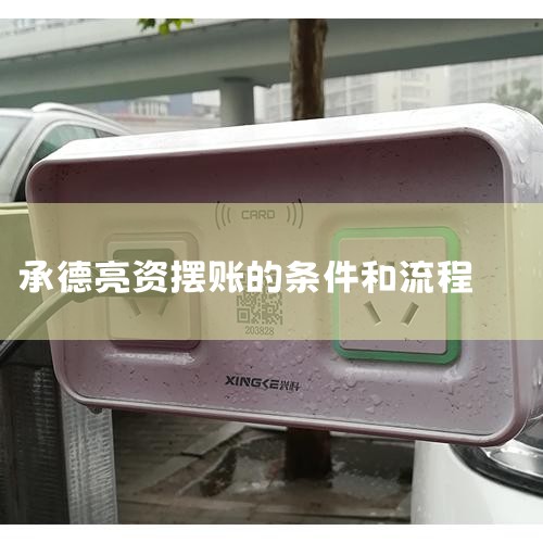 1. ����������������Ҫ�ṩ����֤��������ű��档2.ծ���������ծ�����鹫˾һ���������ծ���ƶ���...