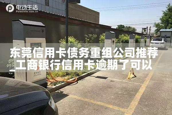 东莞信用卡债务重组公司推荐