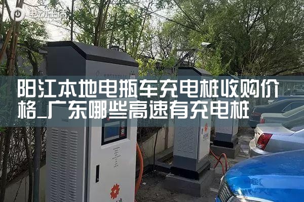 宁安房车智能充电桩厂家