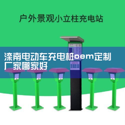 ��һ��˸�ɵ綯�����վ��ŷ������⼸�֣��Ժ����ӽ�ȫ���ơ�һ����س��վ���г��ϳ�������10·���վ��20·���վ��֧����ʽ��֧��Ͷ�ң�����С��һ��ͨ��ɨ��֧���������������ܳ��������������ʿ�