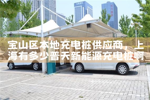 北京电动车充电桩厂家哪家好便宜