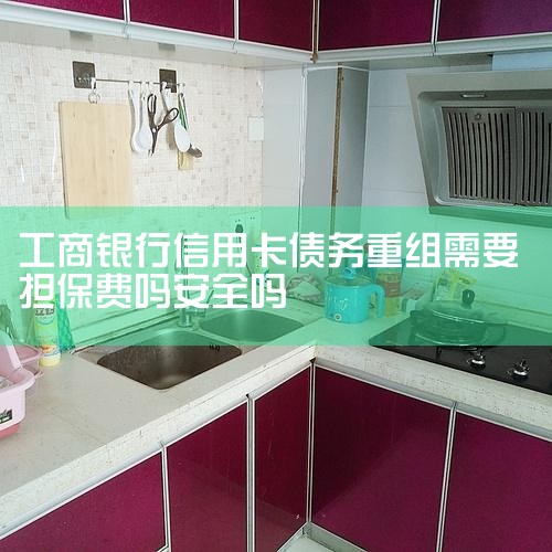3. �����޸������ʽ�渶�󣬿ͻ���Ҫ��ͣ�����������룬���޸���������ż�¼��4. �������룺�������޸���ɺ󣬿ͻ�����ƾ�����õ����ż�¼���Ż���ծ��ṹ���������������Ϣ...