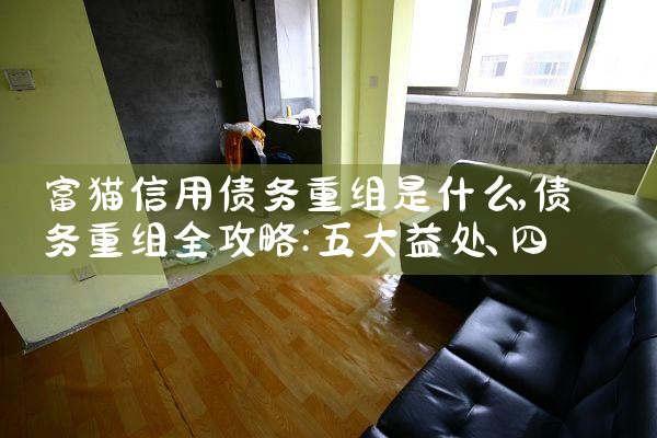 富猫信用债务重组是什么