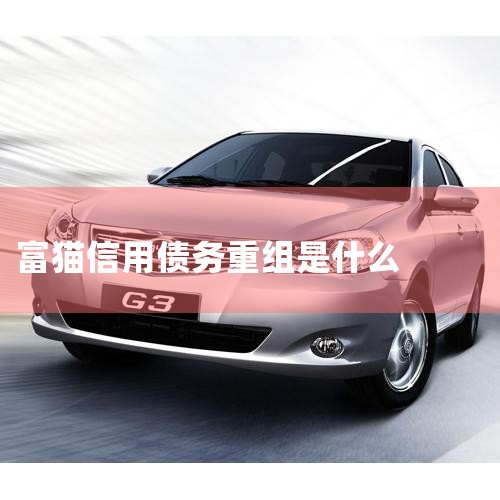 ʲô���ʺ���ծ������? ����ʾ�����һ�����м�ֵ�Ķ�������Ѻȥ��Ǯ,���ô���������������Ѻ,����˵���һ���˿�����ծ������,�Ǿ���������һ���ּ�ֵû�б���Ѻ��ȥ�� ��һ:�ȶ�...