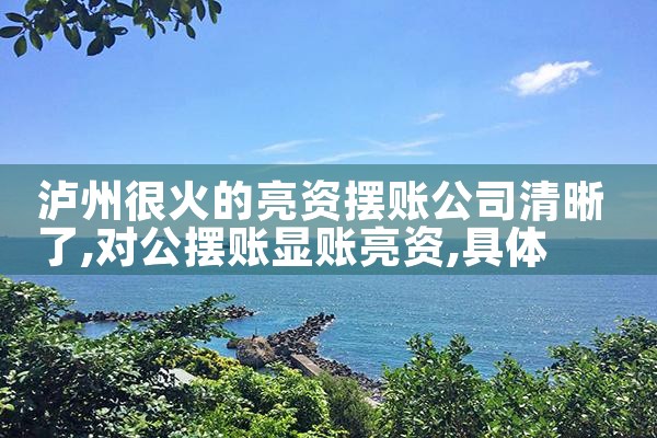 周口摆账亮资正规可信平台