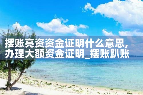 摆账亮资资金证明什么意思