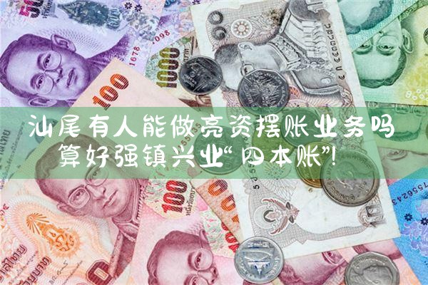 新疆吐鲁番亮资摆账专业服务平台