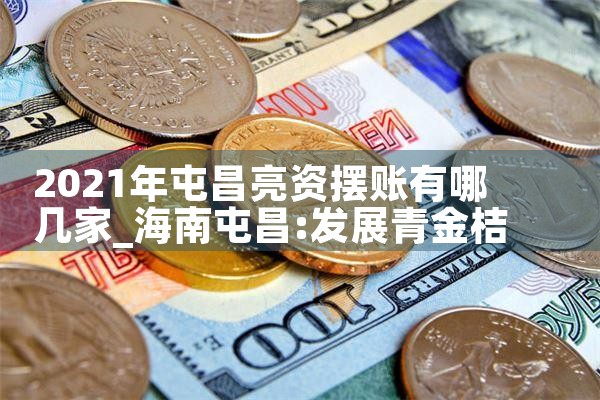 吉安亮资摆账需要带哪些资料