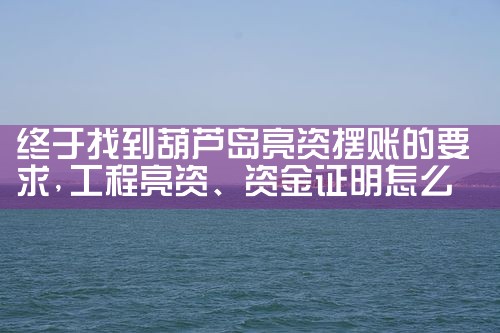 企业需要亮资摆账办理流程