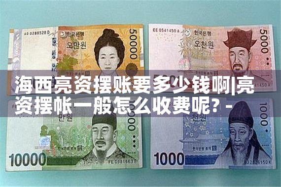 陵水个人亮资摆账怎么收费