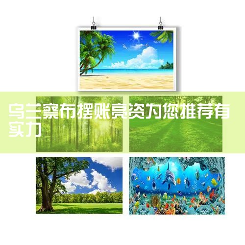 �ͻ�Ϊ��˳�����˺�������Ҫ֤���Լ����ʽ�ʵ���������Լ���û����ôǿ���ʽ�ʵ������ô������ô���أ���ʱ�ͻ��ͻ�Ѱ���ʽ𷽣�˫�����Э�飬�ʽ𷽰�Ǯ�Կͻ�������������У������ͻ��������������չʾ�ʽ�ʵ��
