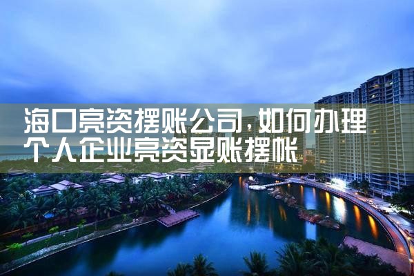 海口亮资摆账公司
