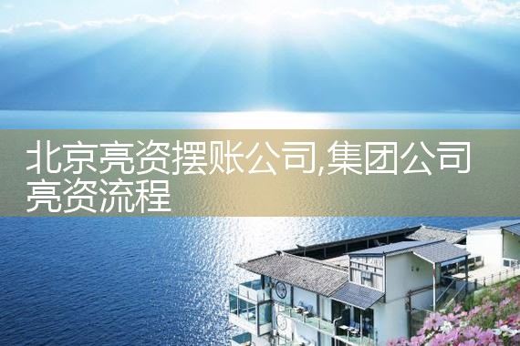 北京亮资摆账公司