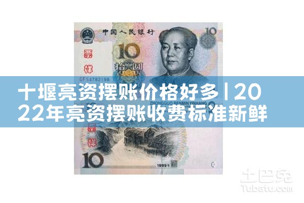 张家港企业亮资摆账具体要求
