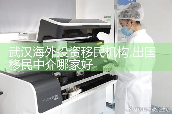 海外投资移民申请流程及时间表