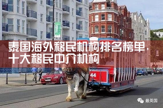 欧洲人移民真实纪录片有哪些