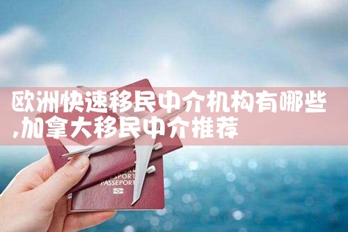 20世纪70年代欧洲移民的特点是哪些