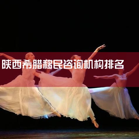 ϣ������˾�Ϻõ��к���WellTrend����������LOBEVISA���������񡢻��˳�������������ȡ�1������WellTrend�ǳ���������ҵ����Ʒ�ƣ�����������뾳����Ļ���֮һ������רҵ���������