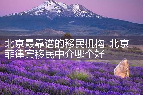 北京最靠谱的移民机构