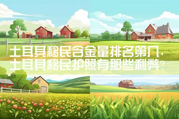海南移民搬家找哪家公司比较好点|海外移民《今天汇总》排名TOP公司