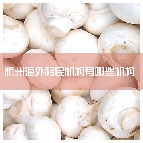 �������������������������߾Ϳ��Կ��ó���һ���ҵ����������ܱȽϿ��ɣ���������˵ȫ�����Ҷ����������������������ǰ�ȽϿ��ɣ�������������ز�������Ҫ�ﵽ30��ŷ֮�ϵķ���Ͷ�ʣ�����������ÿһ���������
