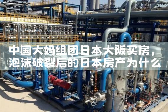 大阪买房最新政策解读图