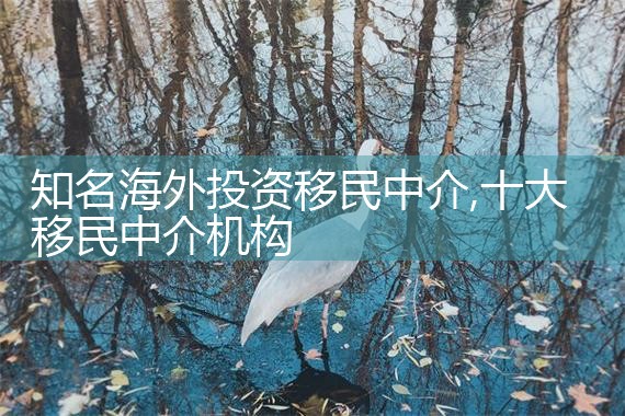 海外投资移民被骗案例视频大全