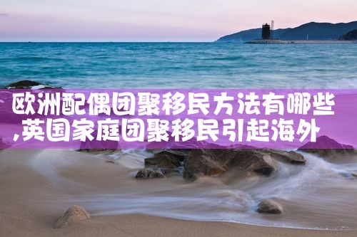 欧洲配偶团聚移民条件有哪些要求