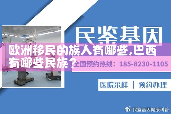 德州欧洲工作移民公司有哪些