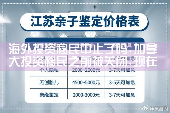 海外投资移民背景调查