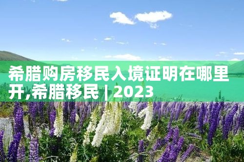 美国杰出人才移民能团队申请吗