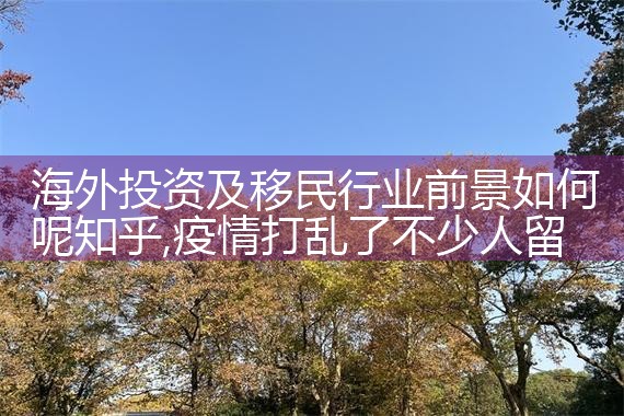 海外投资移民机构海外投资移民机构