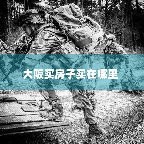 �ձ��ķ�������Ȩ��������������Ȩ����ȫ���ڸ���˽�����У��������ؽ�����װ�����й�ֻ��ʹ��Ȩ��������Ȩ�������ؽ����й�������ʹ��Ȩ�Ϊ70�꣩7�� ʡ�ġ�ʡ���������룺�ձ�����ȫ�Ǿ�װ�ޣ����װ��֮��