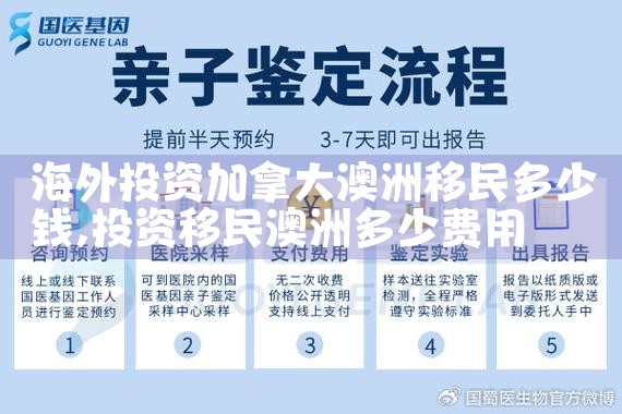 海外投资移民咨询办理手续流程视频