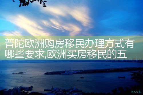 申请欧洲移民机构的条件是什么