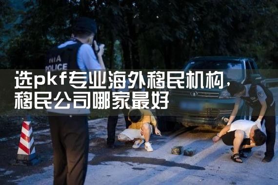 欧洲移民危机的新闻报道有哪些