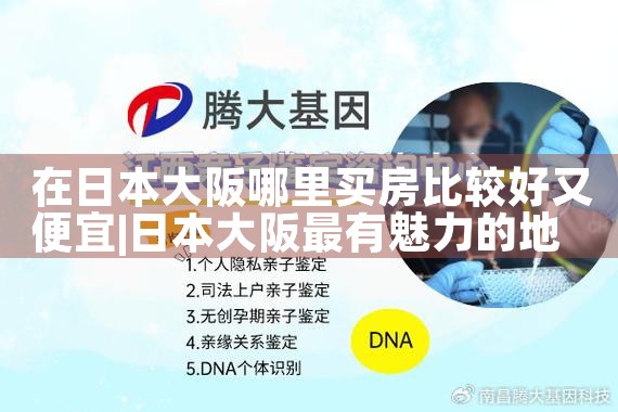 大阪和东京哪里更适合买房