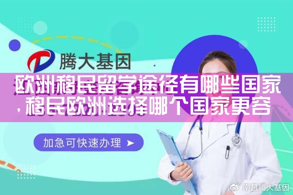 海外移民代理有哪些机构做的最好