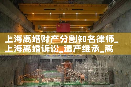 上海市复杂财产分割律师协会会长