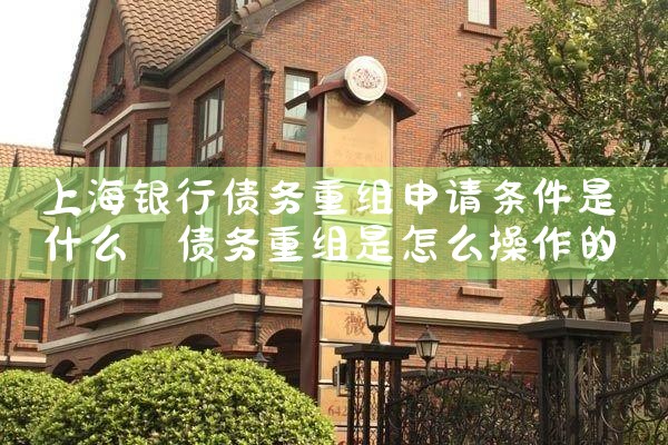 上海借款人债务重组方式