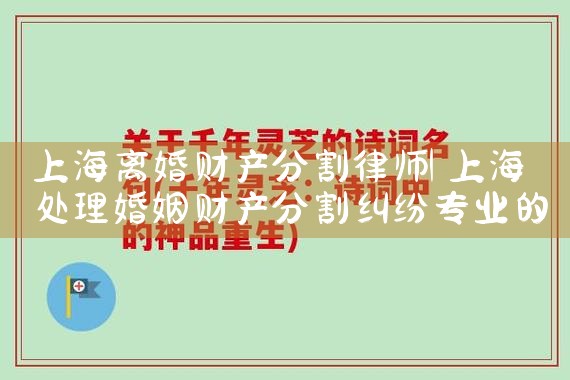 上海权威离婚财产分割律师哪个好