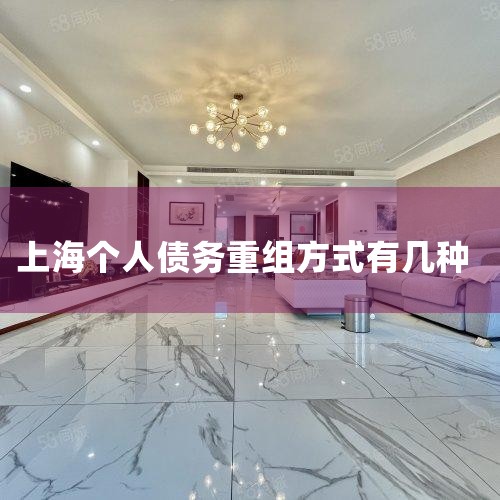 ͨ��Э�̴��ծ������Э��,���Ա��ⳤʱ������ϳ���,�������Ϸ���,��ʡʱ��ͳɱ��� 2.2 ������ҵ��ϵ Э�̿��԰���ծȨ�˺�ծ���˱������õ���ҵ��ϵ,���������϶���˫����ϵ���...